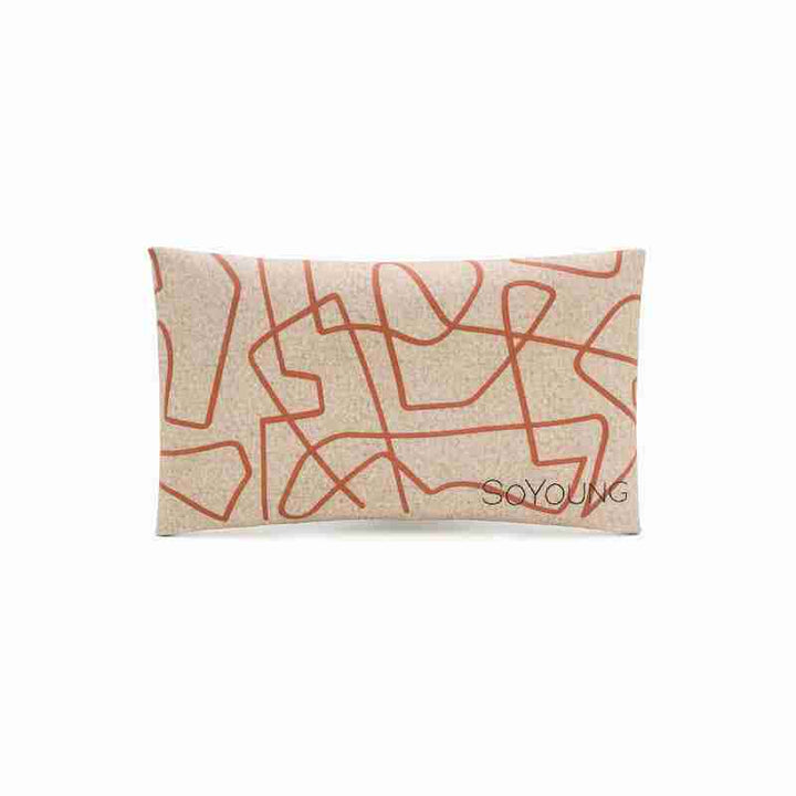 SoYoung Ice Pack