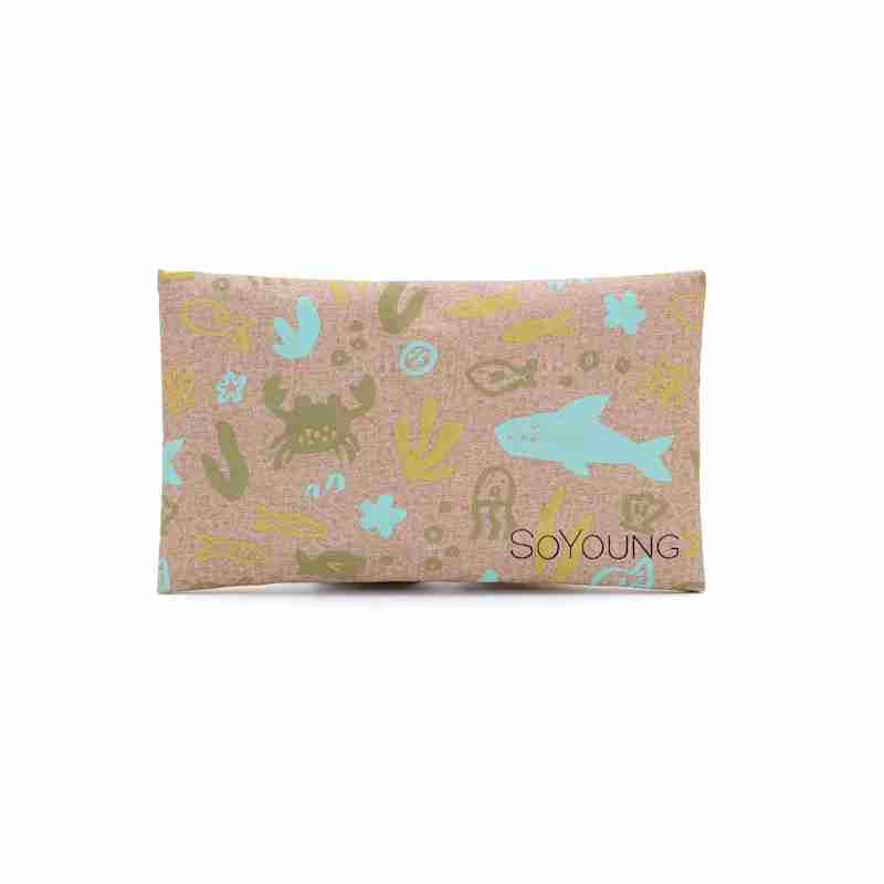SoYoung Ice Pack