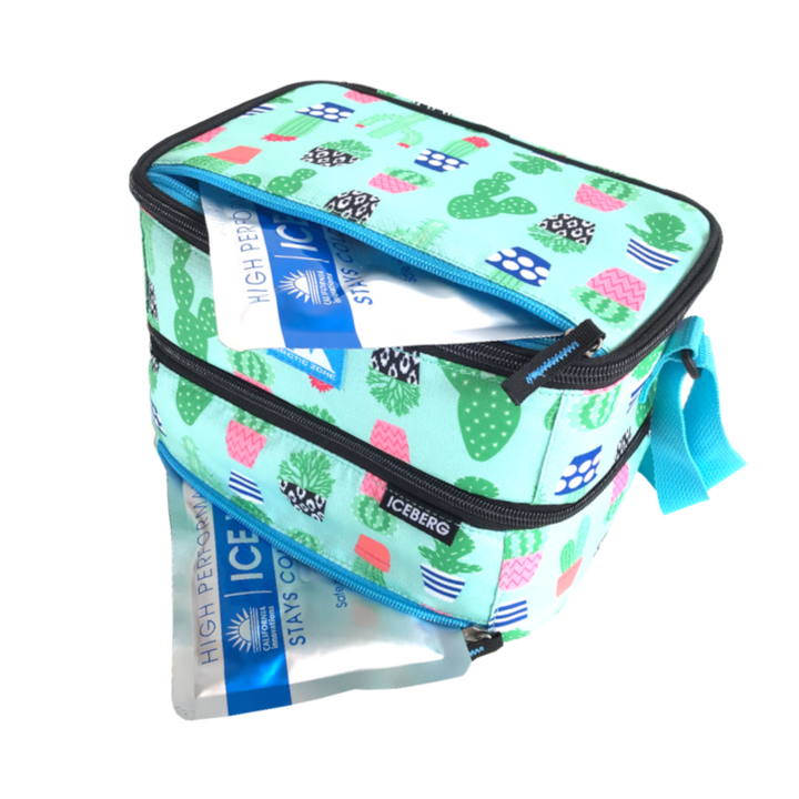 Arctic Zone Dual Compartment Lunch Pack