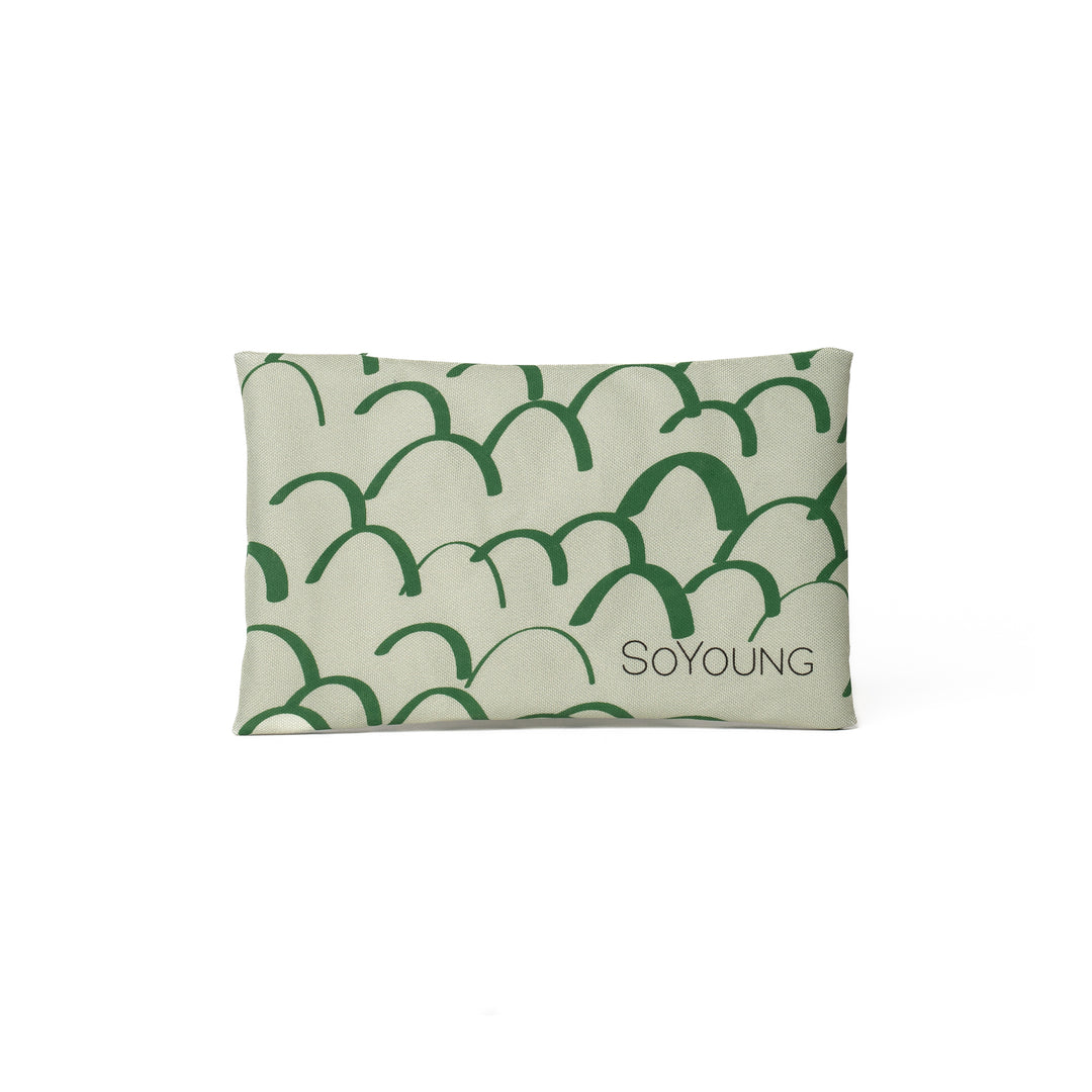 SoYoung Ice Pack