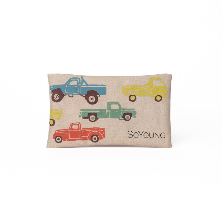SoYoung Ice Pack