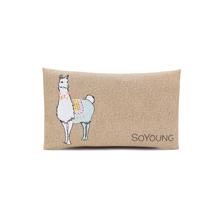 SoYoung Ice Pack