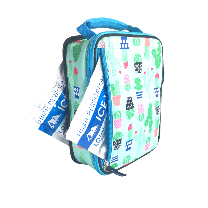 Arctic Zone Expandable Lunch Pack