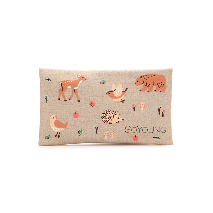 SoYoung Ice Pack