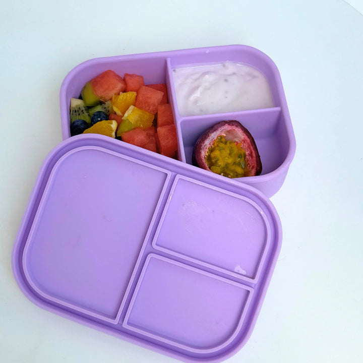 TZWP Nibble Bento Container