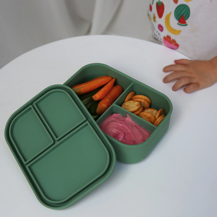 TZWP Nibble Bento Container