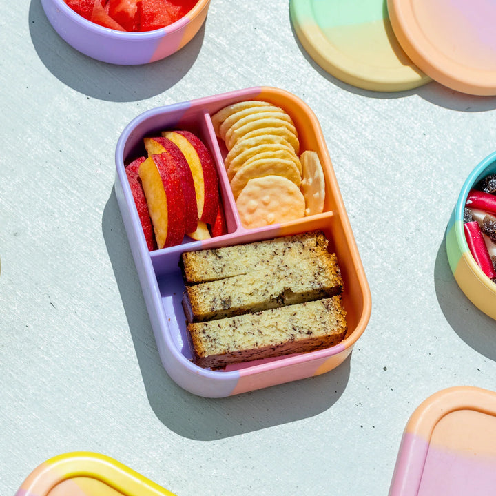 TZWP Nibble Bento Container