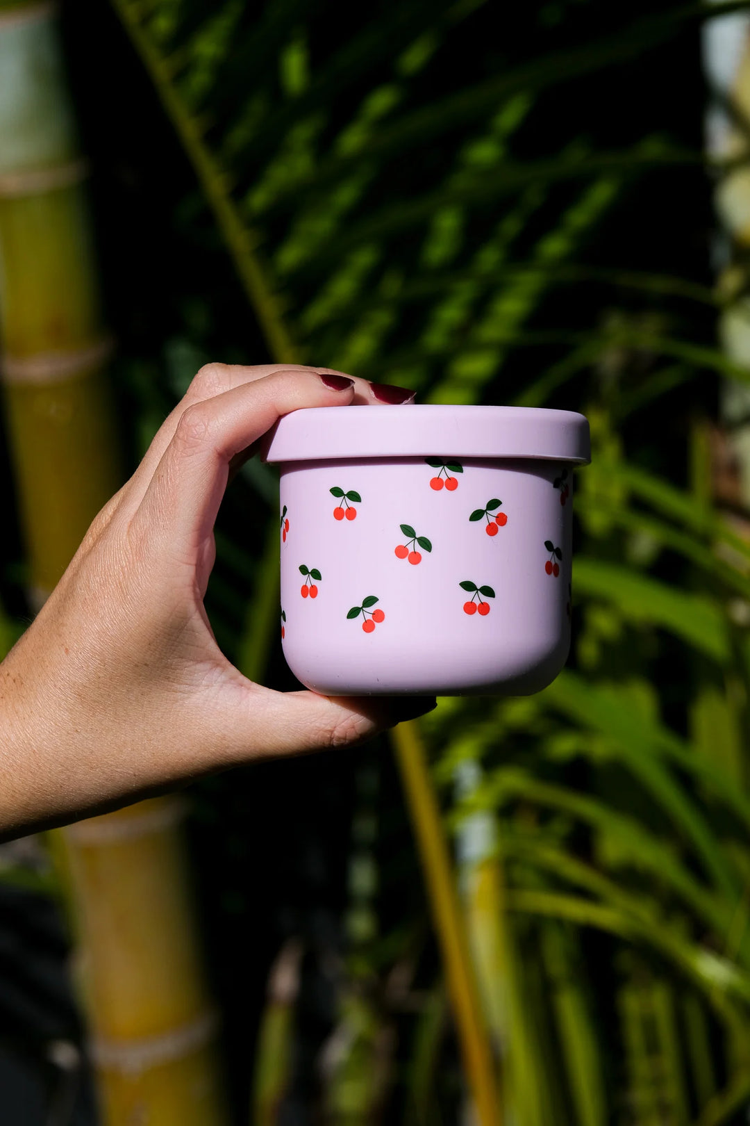 BBCino Silicone Snack Cups