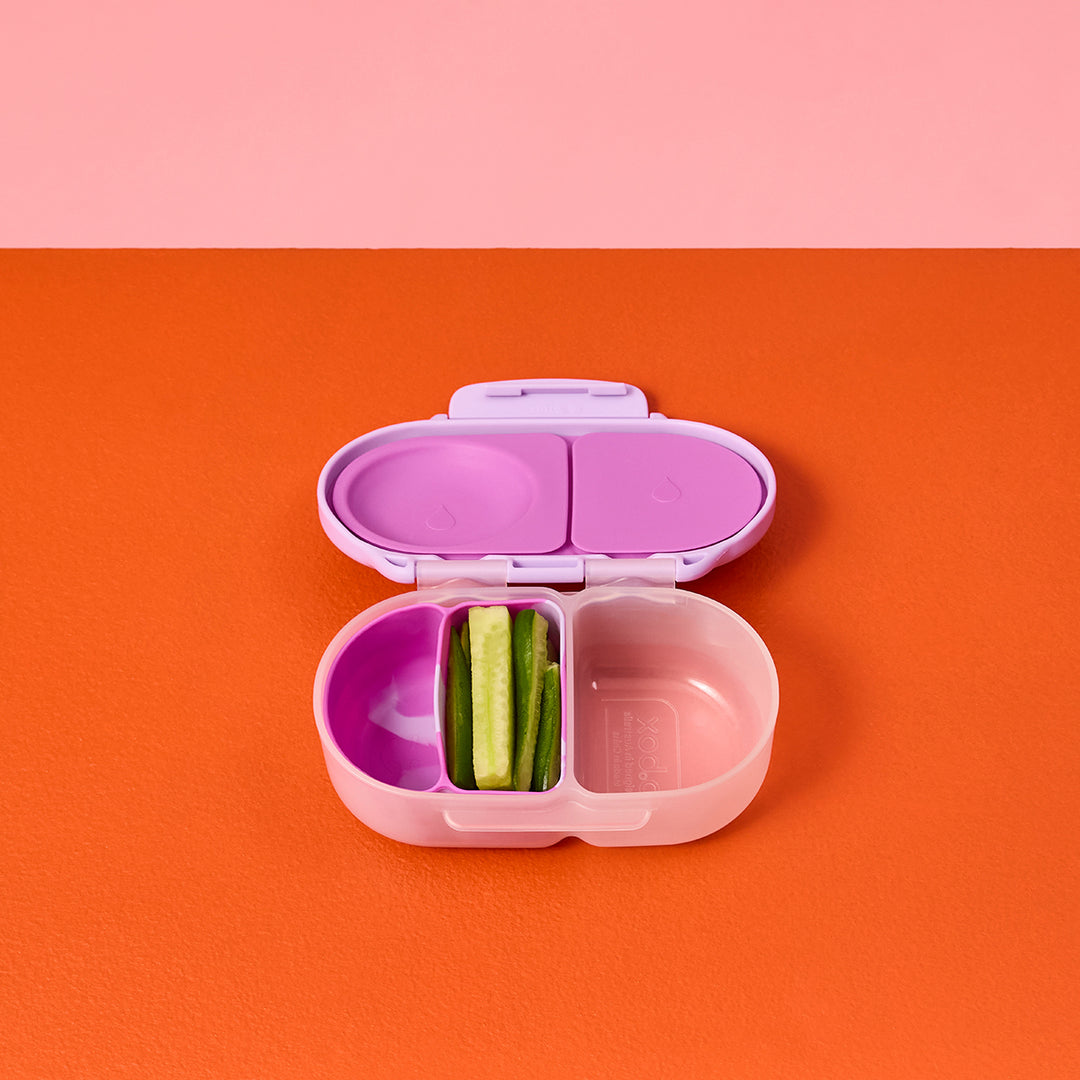 Bbox Silicone Snack Bento Buddy