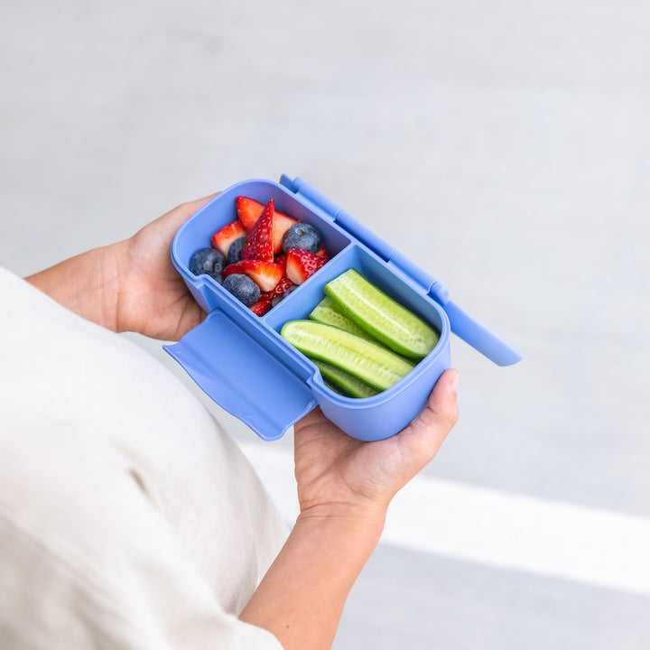 MontiiCo Snack Lunch Box