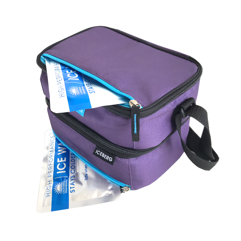Arctic Zone Dual Compartment Lunch Pack