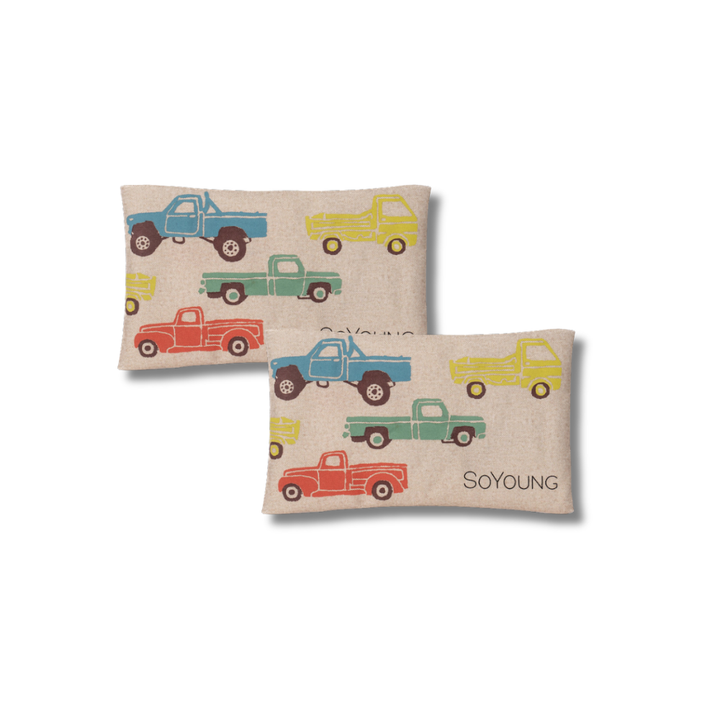 SoYoung Ice Pack